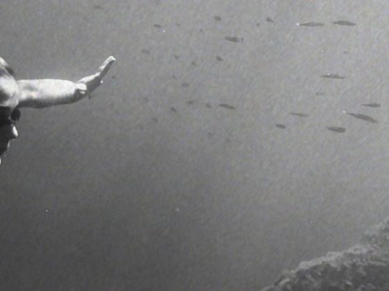 frammenti terrestri offerti alla luce