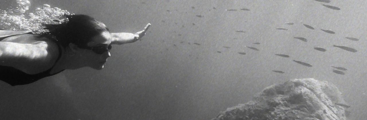 frammenti terrestri offerti alla luce