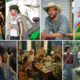Ora al cinema: i nuovi film al cinema dal 4 giugno