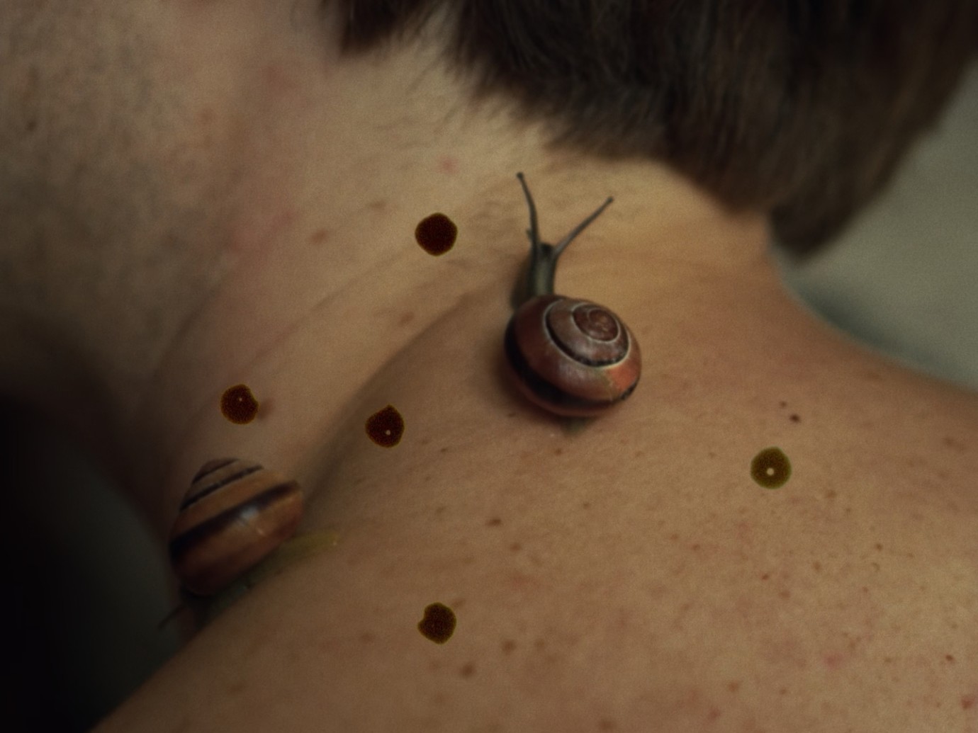 'Henry is a girl who likes to sleep' tra cinema e poesia nel cortometraggio di 13 minuti di Marthe Peters, giovanissima regista olandese