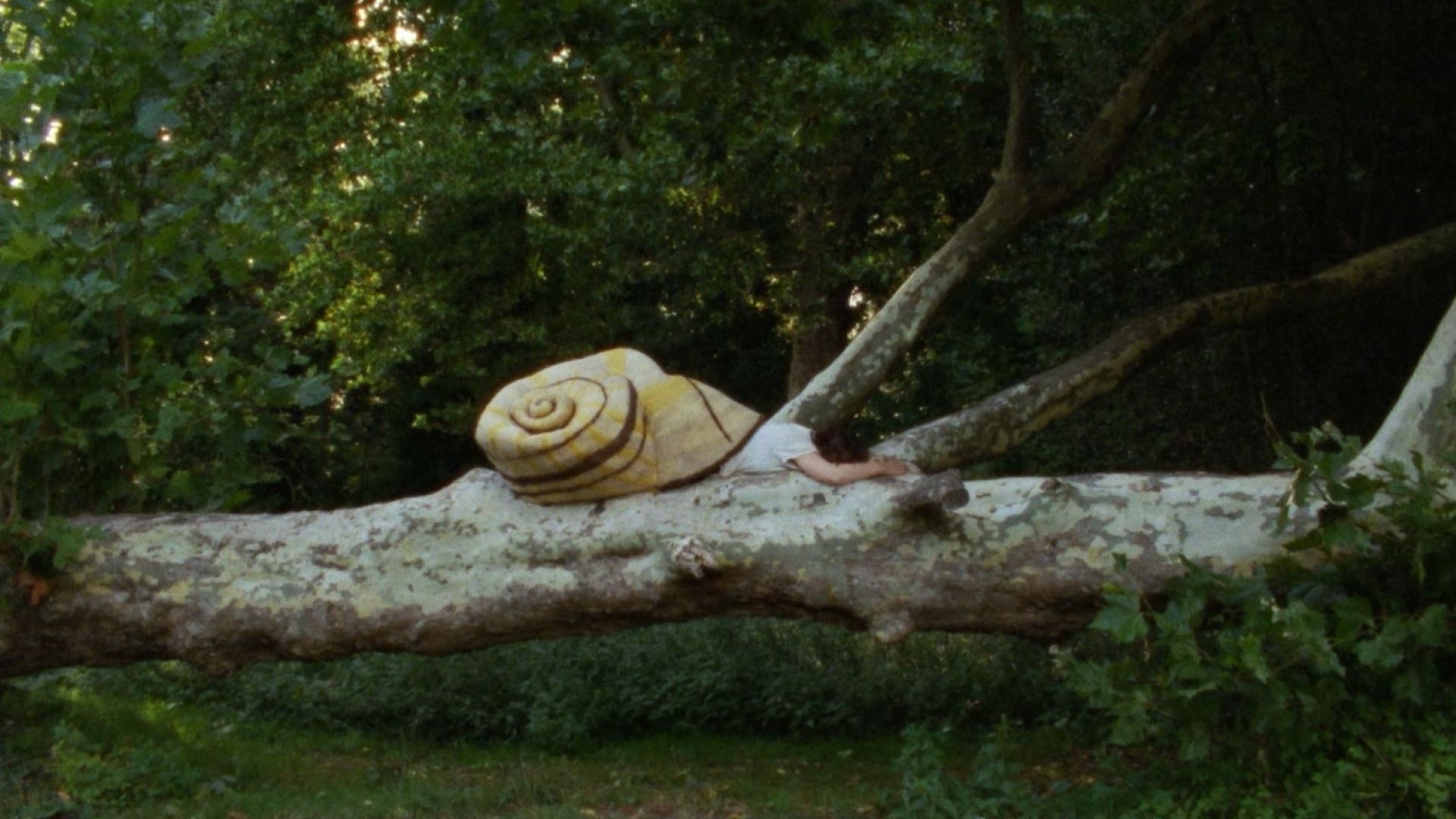 'Henry is a girl who likes to sleep' tra cinema e poesia nel cortometraggio di 13 minuti di Marthe Peters, giovanissima regista olandese