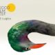 Lecco Film Fest