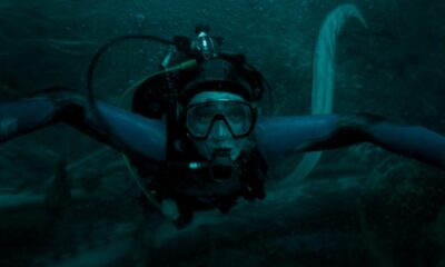 whalefall: nella balena