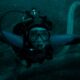 whalefall: nella balena