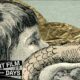 Italy Short Film Days