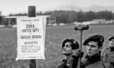 Seveso il disastro della diossina