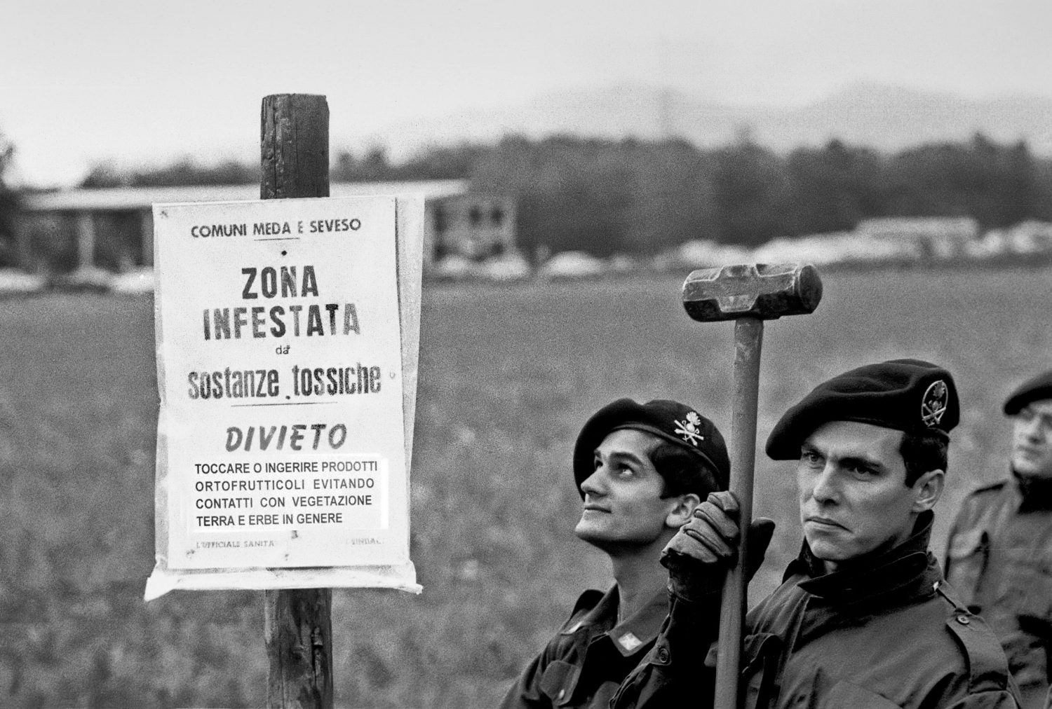 Seveso il disastro della diossina