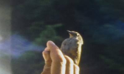 À vol d'oiseau