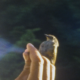 À vol d'oiseau