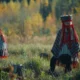 'Visi Putni Skaisti Dzied' il documentario di Krista Burāne che racconta la scomparsa del canto degli uccelli come metafora di crisi ecologica