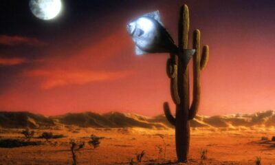 arizona dream