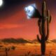 arizona dream