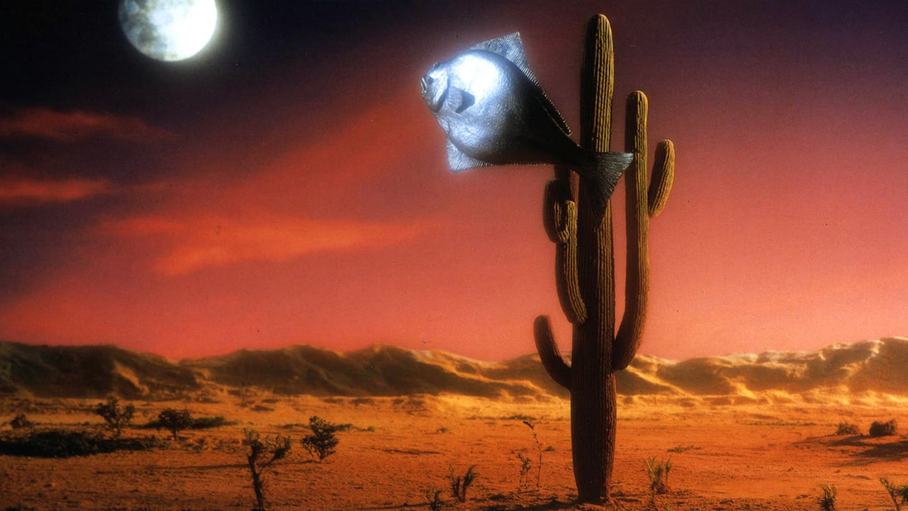 arizona dream