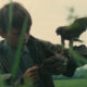Kes