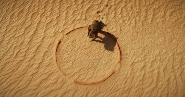 'Hokum' definisce ancor di più le doti registiche di Damian McCarthy e dimostra il suo amore verso lo passato storico dell'horror