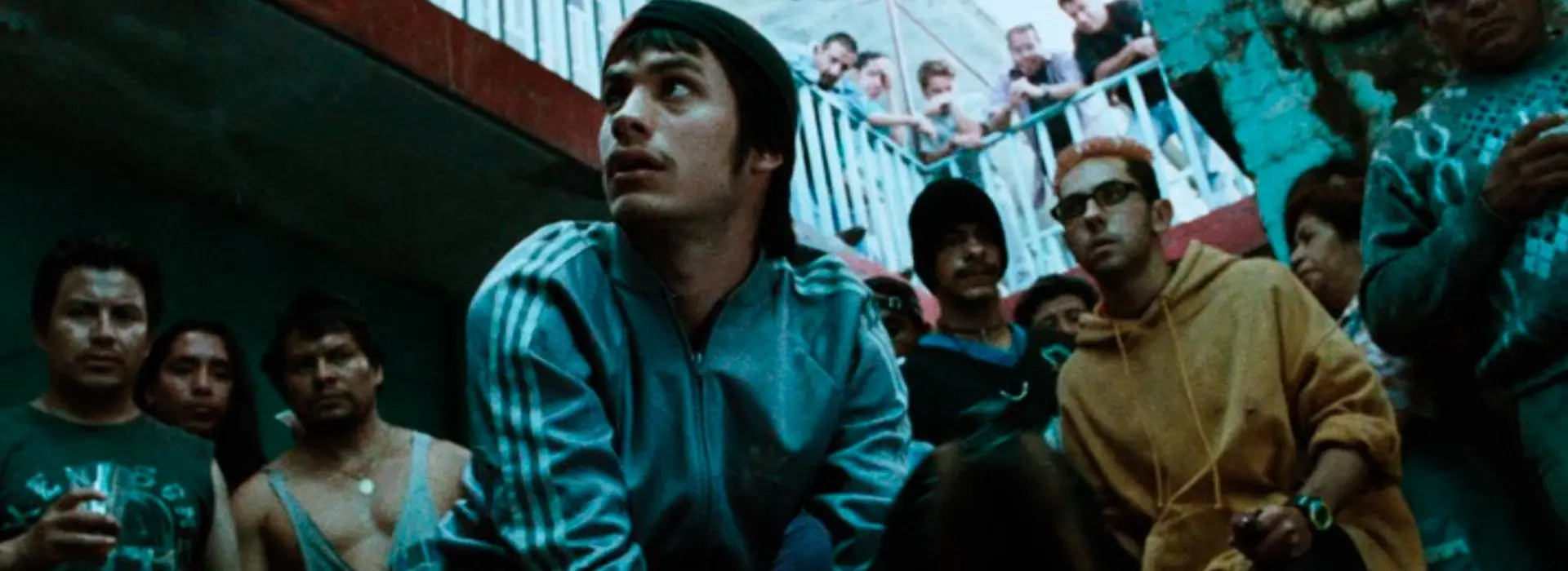 Amores Perros